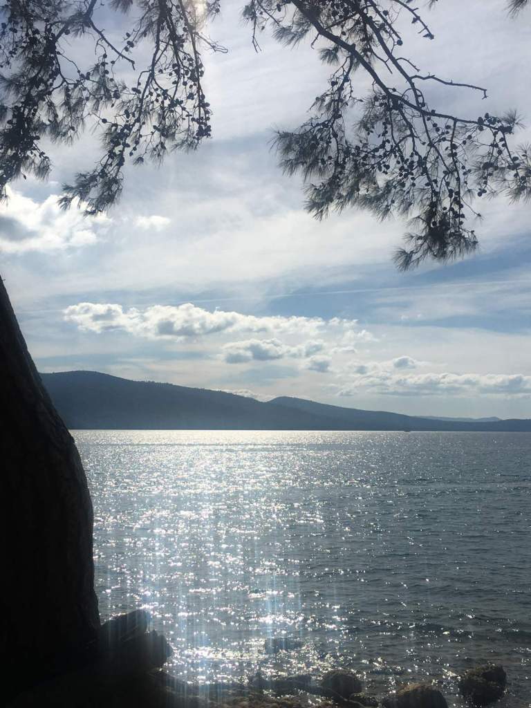Akyaka'da çam altından Gökova Körfezi — Muğla